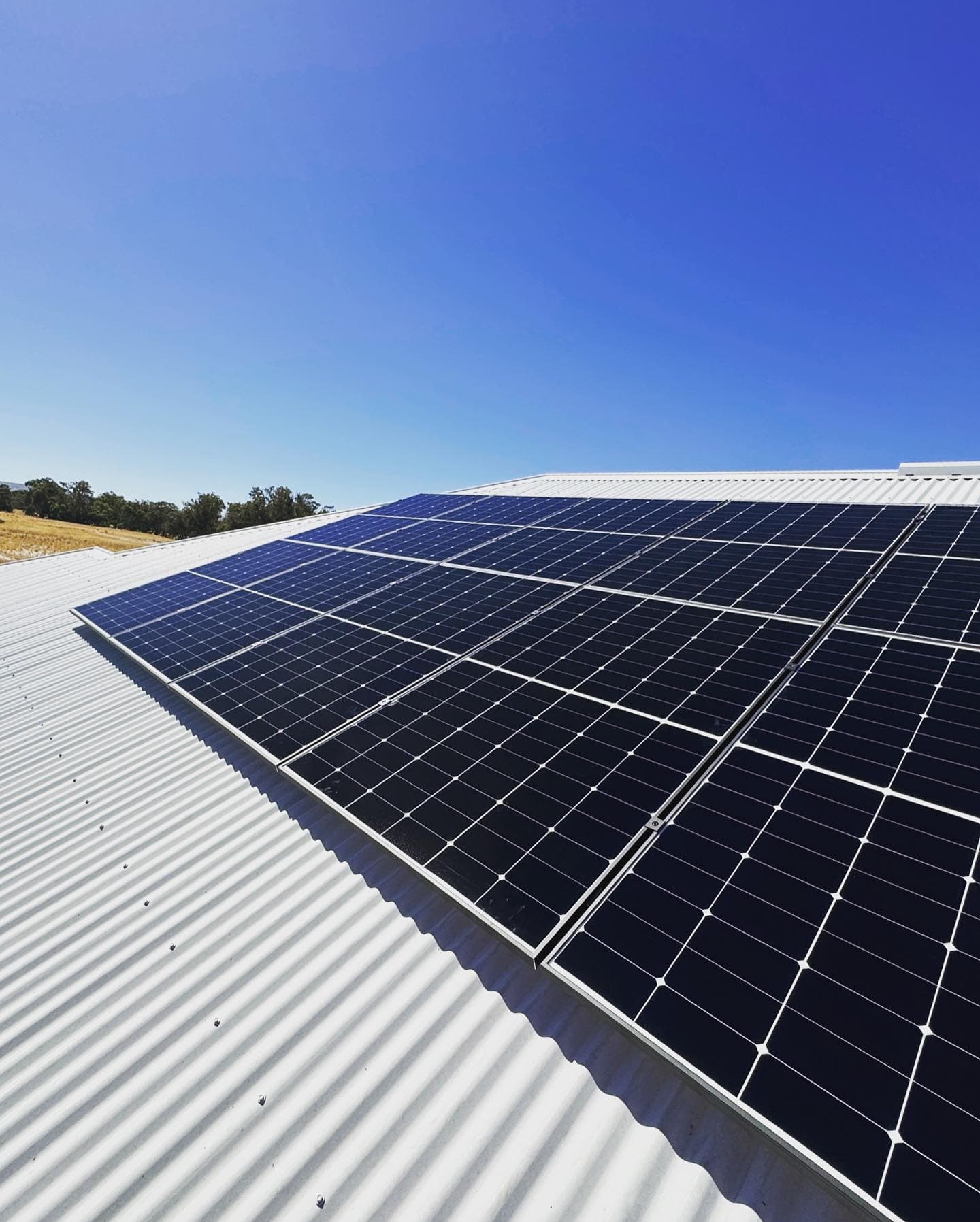 LONGi Hi-MO 6 Solar Panels